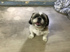 EBACFB73-FA82-455E-B790-6722B952B63F