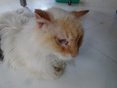 DSC05435