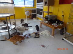 DSC06030