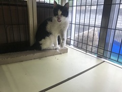 1DC29681-D860-424D-BB4E-CD66ABF69759