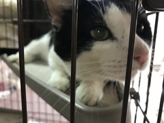 56AE5E68-BD51-498B-95D2-60050222A7DF