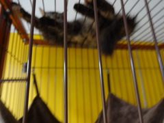DSC08109