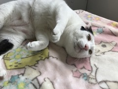 116E6A60-9B03-411D-B437-BAC958F20A76