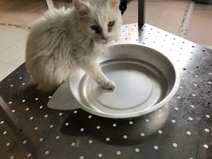 5AAB5952-CEEF-40FD-AA85-D2D5482E353A