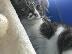 DC97DEDB-FDE9-48B0-BEAC-D5672F368383