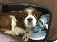 979D7EBE-3723-4003-A65C-73C09B6B2222