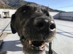 316656CC-DF06-42F2-A0B0-E5C490032C39