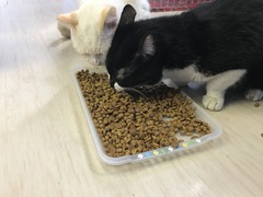 E47BFCC4-FBFE-4144-B975-80166EBD6EC5