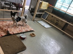 3754300F-96EC-455C-BCBE-FE84E0F4BC02