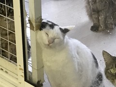 63D101E3-CFC5-47D8-B3BB-C9DC9B41BBBF