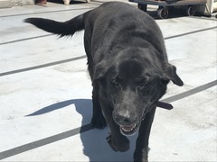 4E996BB3-D398-4601-88DE-D9328E003ADC