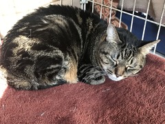 4C41CE27-5E14-4D0F-9DDF-D0EA6E3A78A7