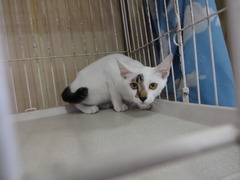 DSC08207