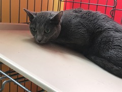 8BDB0509-1281-4838-8541-3079EE23E58C