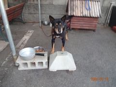 DSC07503