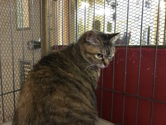 37432B3F-2E20-4D4F-A3FB-A3D8BD68EF64