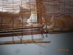 DSC06496