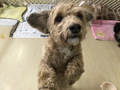 0BB9BA0A-7397-44C4-A7C5-84EE7A93E7D7