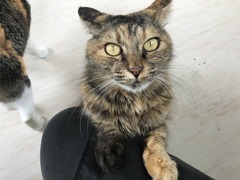 F6DEC2B3-BB10-4A0E-876E-A52E4B6CB9E3