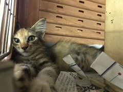 D01C92E3-AE79-436B-93B3-EE56129EAA51