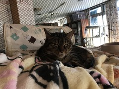 B2D36A2D-9AE9-4B90-B94E-28D433280353