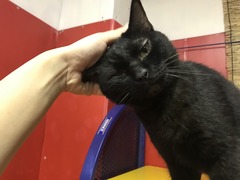 798A95E5-0957-4F26-9452-102BA1A72958