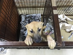 6FA35BF7-23F1-4AD2-8760-A81A811835A5