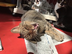 37835792-22D5-4C85-9F43-B1DA8B8C3A56