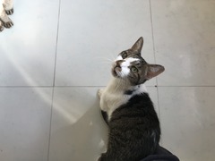 88BE34D2-A918-4A22-A11E-3BD1D5A05321