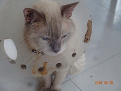 DSC06146