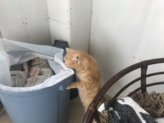 CC31743A-8BCA-4066-848C-BD9BE3FD931E