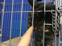 2F6ADA23-9938-4AE1-93CE-D9B97726B692