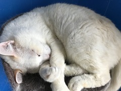 BA00E7A3-1225-44CB-9552-EA6727091137