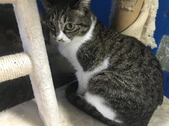 0667400D-5BAC-4719-9661-B3C0FA0A70CE