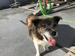 74ECFF3A-CEDA-4257-B232-3355B2A9877D