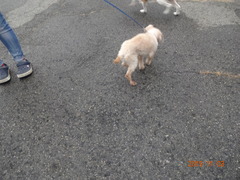 DSC06602