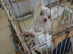 DSC07661