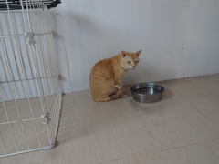 DSC05379