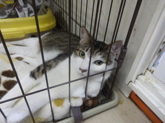 DSC05347