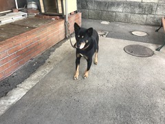 16EDE1F0-D77A-46D6-86DD-BAD79835B104