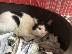 B55D3C8E-6BD5-45C7-8E3E-3396AE364813