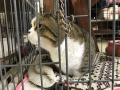 8060103A-FADA-48D1-9900-4EC58ADC1121