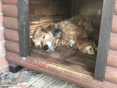 29200511-BD3C-4162-80F8-4D4E55B643CF