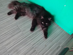 DSC08120