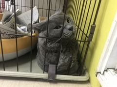 4674CF8C-2531-4895-B98F-58EE38841A55