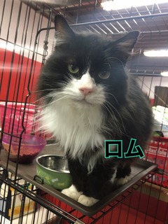 3CC21269-205C-4A97-B7AA-E3D91CDB0E4B