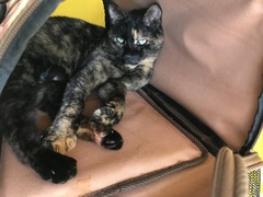 D6BFE4C7-7F79-4FB4-A6E2-3491BA9DB2E9