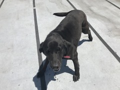 42D1B805-9B61-4F65-9733-280BAA3B60A1