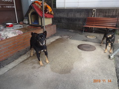 DSC06721