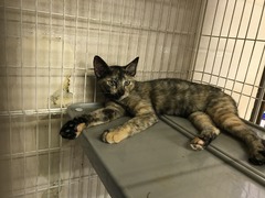 7A1B3A59-208C-4507-83E4-5E2DC6180352